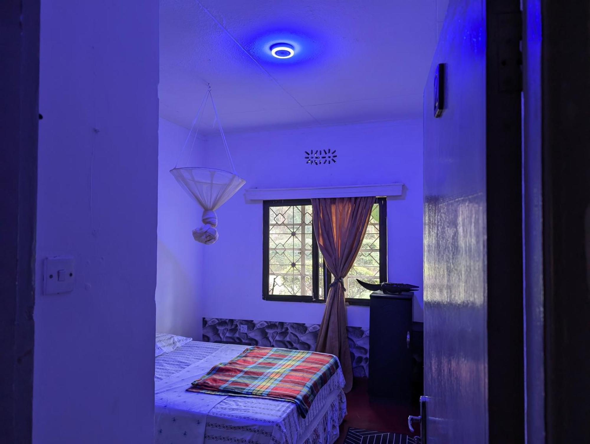 Dans Place موشي المظهر الخارجي الصورة